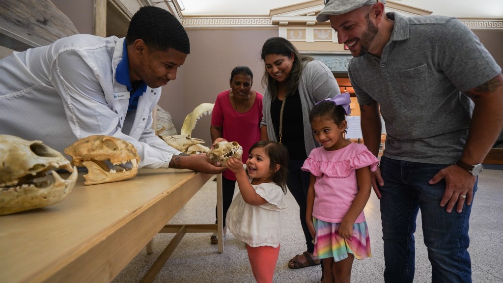 On the left there is a person in a lab coat presenting an animal skull to a group of people, including two young children. One of the young children is smiling and touching the skull.